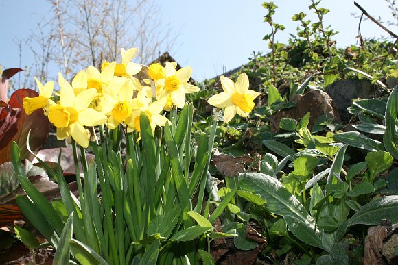 Bild Praxis Fruehling 2